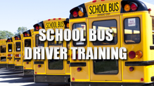 Bus training
